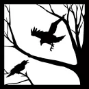 Crows