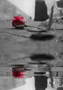 beautiful