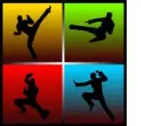 Martial Arts