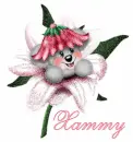 Xammy