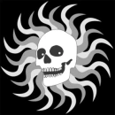 Wild Skull