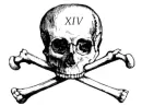 Skull XIV