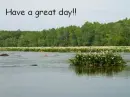Great day