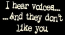 I Hear Voices
