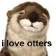 I Love Otters