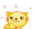 lovely kitty