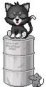 black kitty