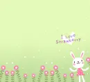 I LOVE STRAWBERRYS