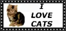 I love cats