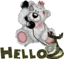 helllo teddy bear