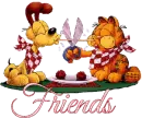 Garfield & Oddie friends