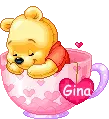 gina