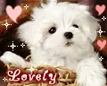 lovely