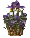Candle