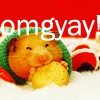 omg! its a cute ham~ham