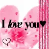 i love you