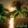 aloha ninia
