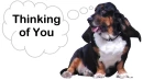 "Thinking Of You"
