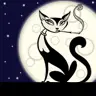 Cat and Moon
