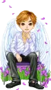 angel boy with petals