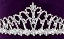 silver glitter princess