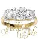 Jeff's Wife