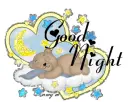 good night