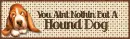 Hound Dog
