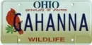 license plate