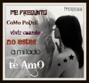 te amo