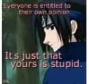 Your Opinion is Stupid