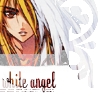 dn angel