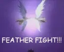 figth dn angel