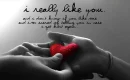I Like you