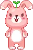 pink bunny