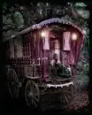 gypsy