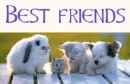 best friends