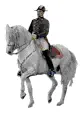 cheval piaffer