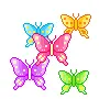butterflys