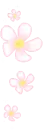 cute flowers