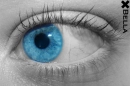 eye.love.you