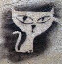Kitty Kat