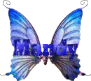 Name with butterfly