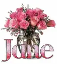 Jane
