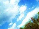 clouds