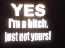 bitch