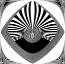Black and White Abstract