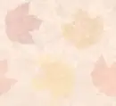 Autum Leaves