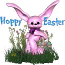 bunny
