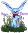 bunny